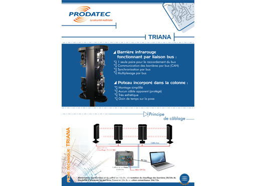 Triana Technique